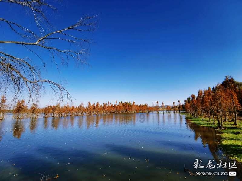 中洲河谷花园交房时间游戏画面